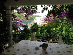 Apartment Danijela A1 Splitska, Island Brac - Image 4