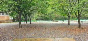 Hongcheon Bulmeongmeong Glamping Camping Site - Image 4