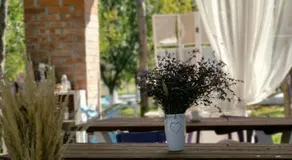Garden Pypa - Image 2