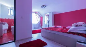 Conacul lui Bulică - Image 2