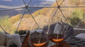 Aura - Glamping Experience - Image 5
