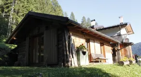 LA VOCE DEL BOSCO Selva di Cadore - Image 5