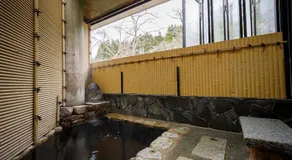 Motoyu Ishiya - Image 4
