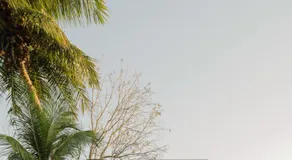 Casa Arrayan Telchac - Image 5