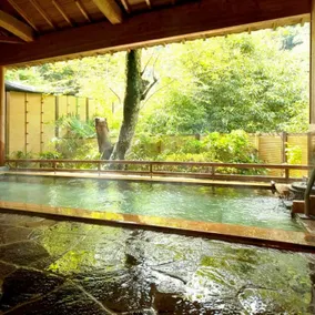 Iga AkameOnsen Taisenkaku - Image 2