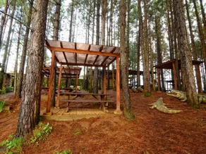 Dahilayan Forest Park Resort - Image 5