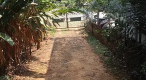 Blue mount stay - Image 4