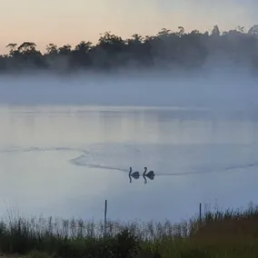 Lake Yalleena Nature Retreat - Image 3