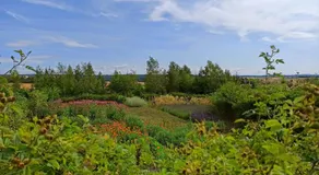 Aditisgarten - Image 5