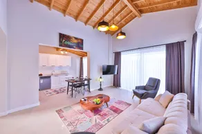 Nature Villa with Pool and Jacuzzi - Image 2