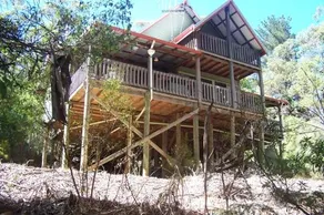 Tall Timbers at Youngs - Image 1