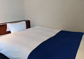 Ichinomiya City Hotel - Image 2