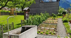 Pension Zita - Image 5