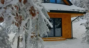 Domki Krynica - Image 5