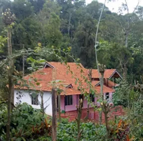 Green Coorg by StayApart, Madikeri - Image 5