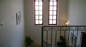 Patio das Margaridas - Image 5