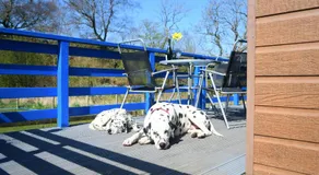 Glen Bay - 2 Bed Lodge on Friendly Farm Stay with Private Hot Tub - Image 5