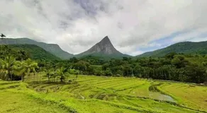 Abimansala Resort - Image 4