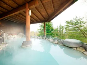 FOURTREAT plus NASUKOGEN - Image 2