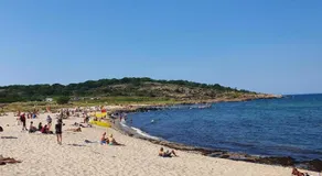 Albi's Sandvig - Image 3