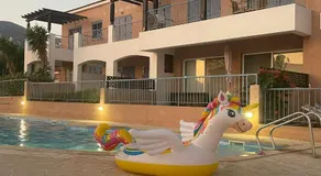 Sunny Bliss - Image 2