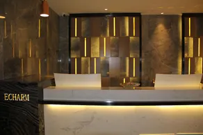 Echarm Hotel Shenyang Nanta Shoe City Army General Hospital - Image 4