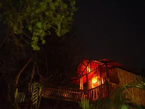 Dandeli Rangers Camp - Image 3
