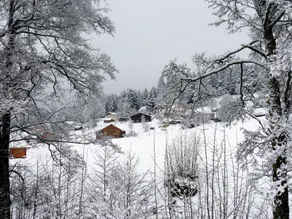 Vibrant Chalet in Granges-sur-Vologne near Ski Area - Image 2