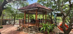 Phillip Farm - Rừng Sác Cần Giờ - Image 4