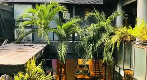 Blu Cabin Ari Stylish Gay Poshtel - Image 3
