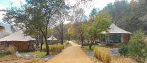 Wangyou Homestay - Image 5