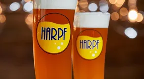 Hotel Harpf - Image 4