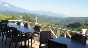 Sabah Tea Resort - Image 4