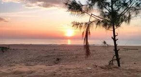 Bele Beach Front Inn - Image 5