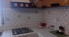 Capinera - Image 5