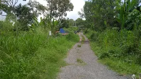 Tree Story Farm by FarmVille @ Seremban - Image 2
