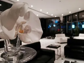 Tulip Inn Bahrain - Image 5