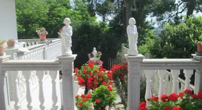 Spineola - Image 4