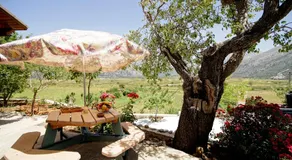 Mike Omalos Houses - Image 5