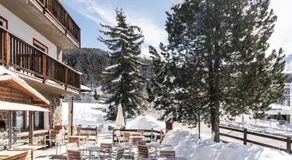 CHALET DES ALPES - Image 4
