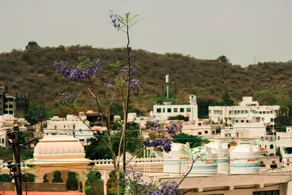 Tripli Udaipur - Image 4