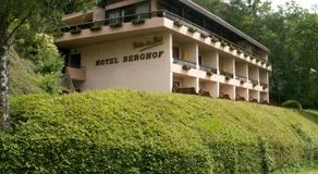 Hotel Berghof - Image 4