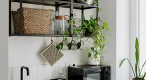 Apartment for friends & families - Image 4