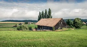 La Libellule - Image 5