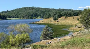 Villa Krågenes - Gjesterom - Image 5