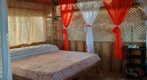 Beachaus Resort - Image 2