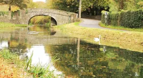 Ideal one bedroom appartment in Naas Oo Kildare - Image 5
