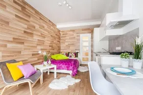 Amber apartment Zirmunai - Image 1