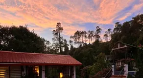 Binsar Eco camp & cottages - Image 4