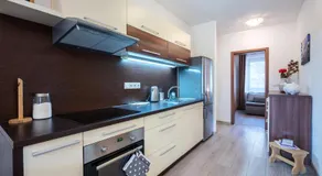 Apartment Anna Chopok South, Trangoska, 1100 m, 5 min to Ski Jasna, Ski in only - Image 3
